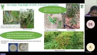 Guest Lecture-Choanephora Blight  An emerging disease infecting Vegetable Crops