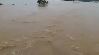 Flood video of Bengali tola 2017 sheohar,  bihar