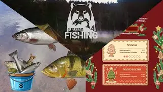 Stufe 6 Premium - Neujahrs Herausforderungen | Russian Fishing 4