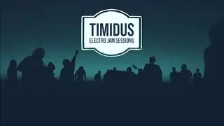Timidus - Electrojam Sessions With Myself