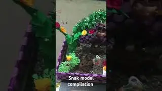 snake model compilation