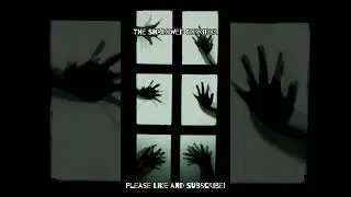 The Shadowed Corridor