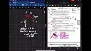 Leukemia Pt 1