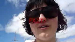 First Vlog / Dolphi
