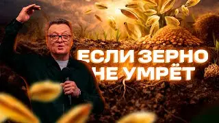 Пастор Жан - ЕСЛИ ЗЕРНО НЕ УМРЁТ / Салем Каум Астана (11/01/2026)