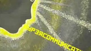 Poni Hoax - Hypercommunication (Alter Ego Remix)