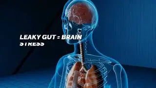 Your Gut = Your Second Brain 🧠 | Health Hacks You Didn&rsquo;t Know!