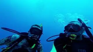 Diving The Eagle with Key Dives Islamorada