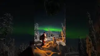 Have you seen the northern lights? Magical Aurora 💚 #shorts #aurora #northernlights #escapetoeden