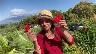 Hawa Hawaii