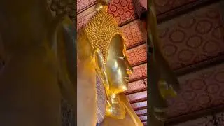WAT PHO [ THAILAND] - WAT PHO [ BANGKOK ] #shorts#buddha#temple#viral