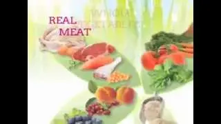 Natural Pet Food Made in USA: Spring Naturals Dinners & Treats