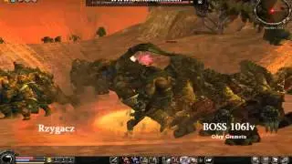 Metin2 PL Wszystkie BOSSY od 90 do 110lvlu by DariuszIII