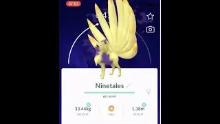 Shadow Vulpix and Shadow Ninetales