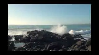 Whale Bay, Raglan
