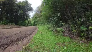 BOP Rally 360 Stage 10