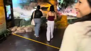 Bangkok Sea World | Tuifinriat nungcha hrang hrang