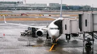 Concern about flight prices as aviation fuel levy increased | NEWS IN A MINUTE