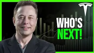 Tesla Shares Surge as Elon REVEALS Next Partnership