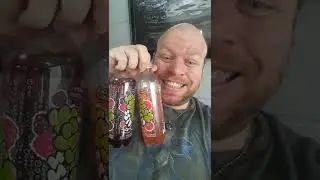 review Splash Fizz blood orange / raspberry BlackBerry