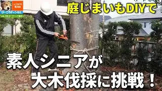 vol.199ガーデニング編⑥【庭じまいもDIYで】素人シニアが大木伐採に挑戦！～直径50㎝、高さ6m超えのケヤキを自力で切ってみた～