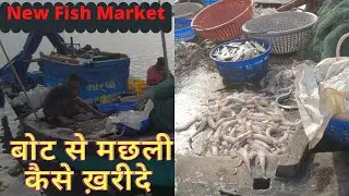 Diwale fish Market | Fishing Boat | Belapur fish market |बोट से मछली कैसे ख़रीदे | Cheapest fish|