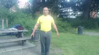 The 4 and the 8 Punches - Set - Charles