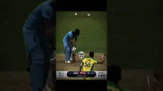 POOKIE STARC ❤️