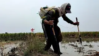 Coba Spot Jauh, Sawah yg Baru Di Traktor