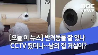 [오늘 이 뉴스] 반려동물 잘 있나 CCTV 켰더니…남의 집 거실이?(2020.06.30/뉴스데스크/MBC)