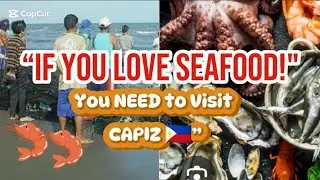 &ldquo;Seafood Capital of the Philippines? Let's Find Out!&rdquo;#travel #food #facts #history