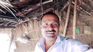 My village Tovr vlog Bihar Dehat car video YouTube vlog Darbhanga Jila