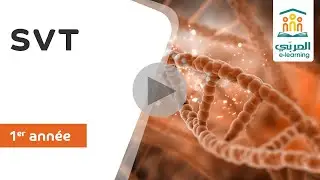 1&egrave;re Ann&eacute;e : SVT - Comprendre les Microbes | D&eacute;finition et Explications Simples