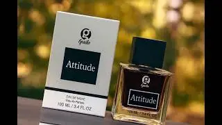 Attitude Perfume Launch | Stand Out with Every Spray