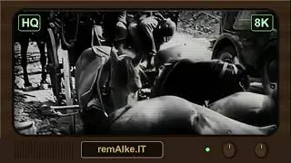 8K HQ Die Deutsche Wochenschau Nr. 511 | 20.06.1940 | Germany WWII Newsreel |  8K HQ | @remAIke_IT