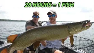 Northern Wisconsin Musky Fishing (Hours Grindin=BIG RESULTS)