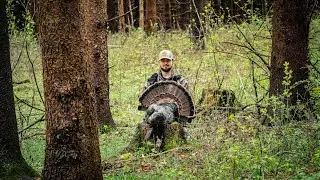 Turkey Hunting Wisconsin! (Owens First Longbeard!!)