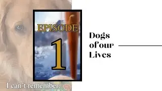 DOGS OF OUR LIVES | EP 1