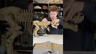 Building the new LEGO T-Rex skeleton!