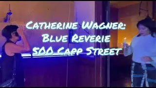 Catherine Wagner: Blue Reverie | 500 Capp Street (David Ireland House) #SF | A LOVE LETTER TO ART