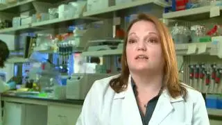 Profile of Sonja Best, NIAID Researcher and PECASE Award Winner