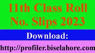 11th Class Roll no Slips 2023 ll #11classrollnoslip ll First Year Private/ Regular Roll No. Slips.