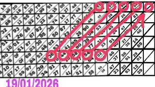 DIRECT 12 X 29 SUCCESSFUL SHILLONG TEER 19/01/2026 common number best house ending line