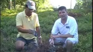 ARCHIVES: Central PA Lightning Damage & Fulgurites Aug. 12, 2007