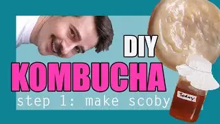 DIY Kombucha SCOBY - It's Easy!