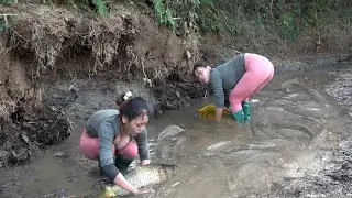 Full Videos: Traditional Fishing Skills, Trap Fish, Harvest Giant Fish, Fishing For Sale