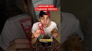 СУШЕНАЯ УЛИТКА 🐌 #юмор #рекомендации #приколы