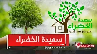 والي سعيدة مرموري..