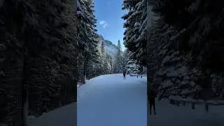 &ldquo;Winter fairytale✨❄️&rdquo; - video by Lenka Novansk&aacute; #travel #montfort #slovakia #hotel #hotelmontfort