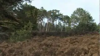 Da Lata. 